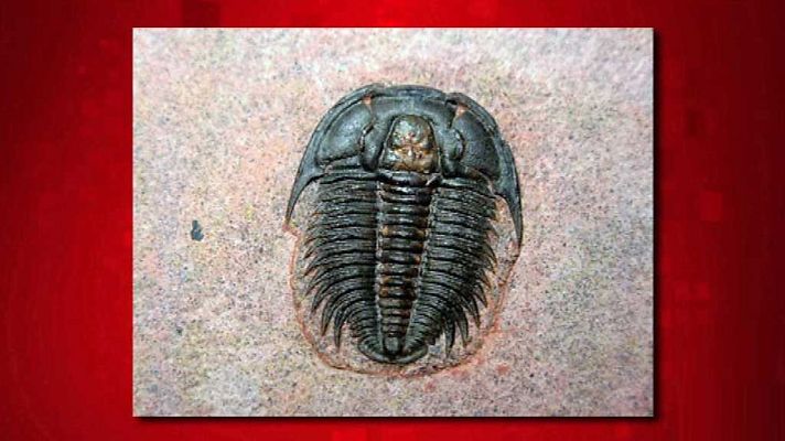 Saber y ganar - Saber y ganar - 05/09/17