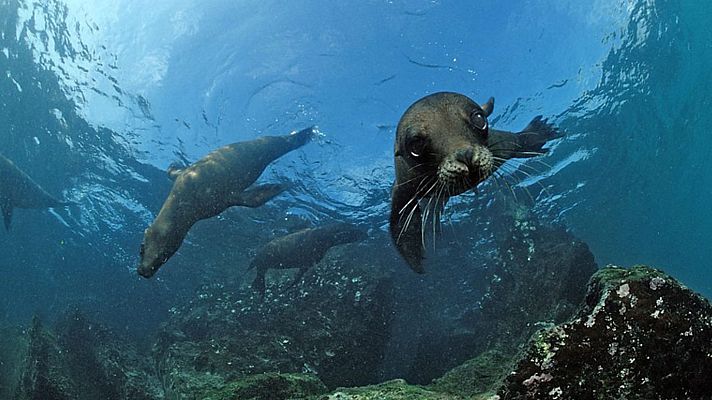 Grandes documentales - 24 horas en el planeta Tierra. Episodio 2