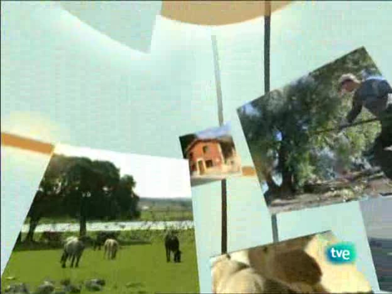 Agrosfera - 21/02/09 - Agrosfera | Ver