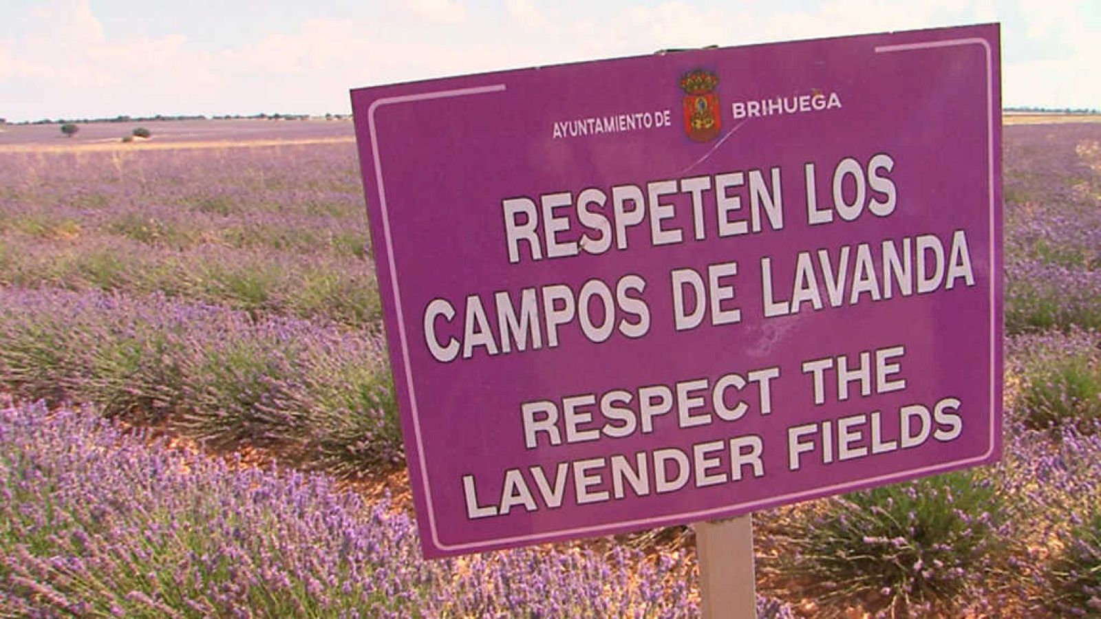 Comando al Sol - Alargando el veraneo - ver ahora