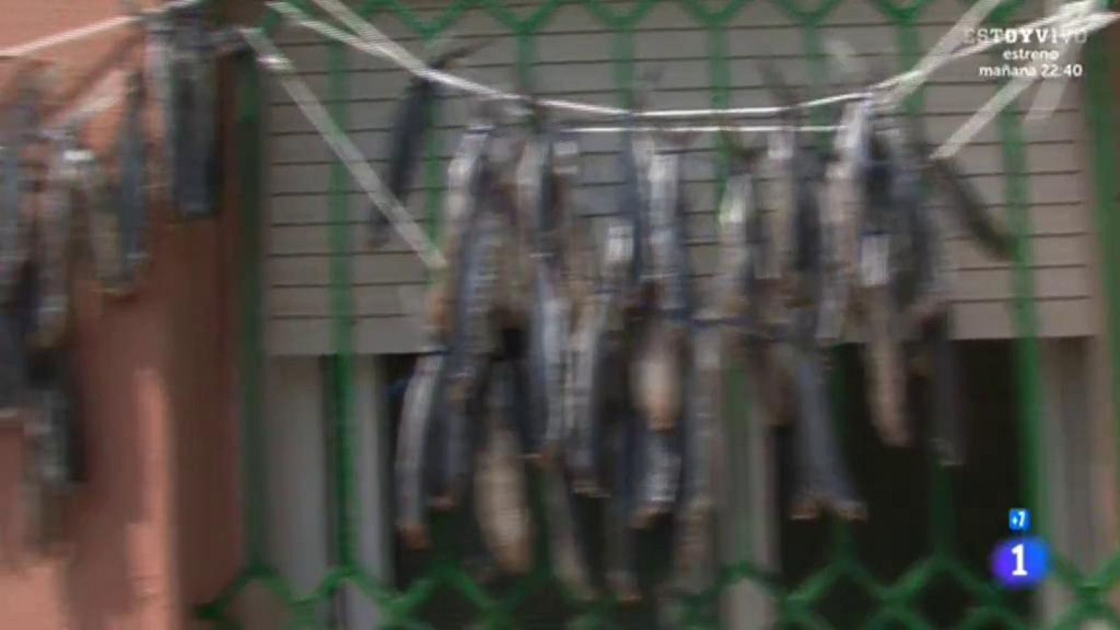 Alargando el verano - El pez volador cruza El Estrecho