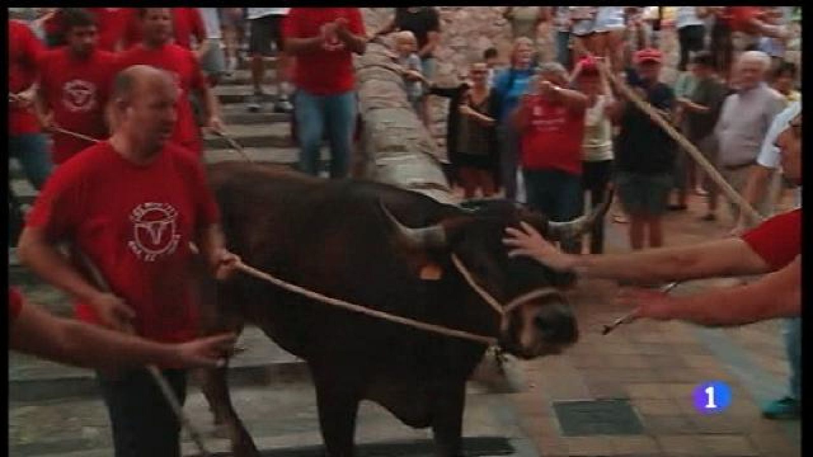 Primer correbou amb la llei de protecci Primer correbou amb la llei de protecció animal
