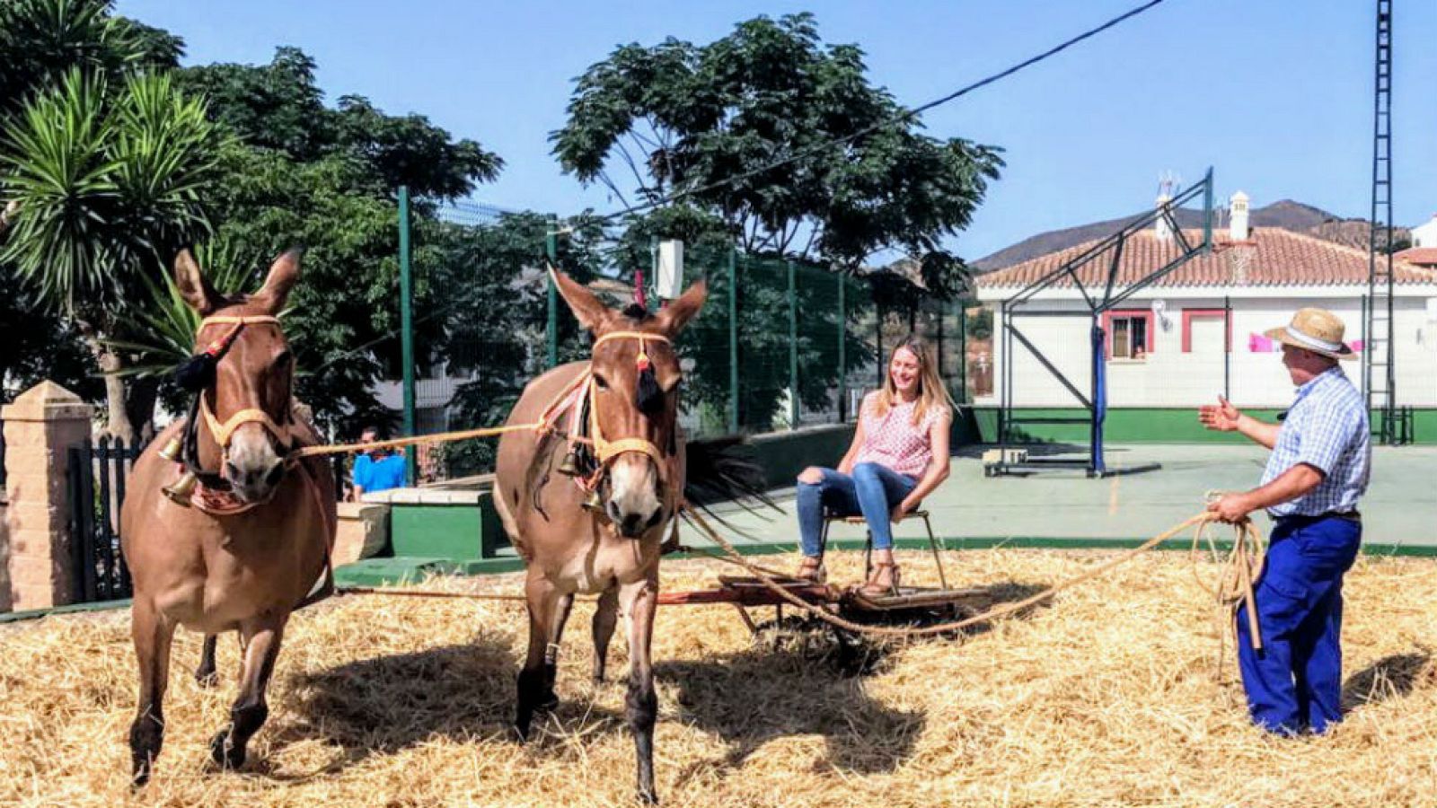 La trilla de la toda la vida