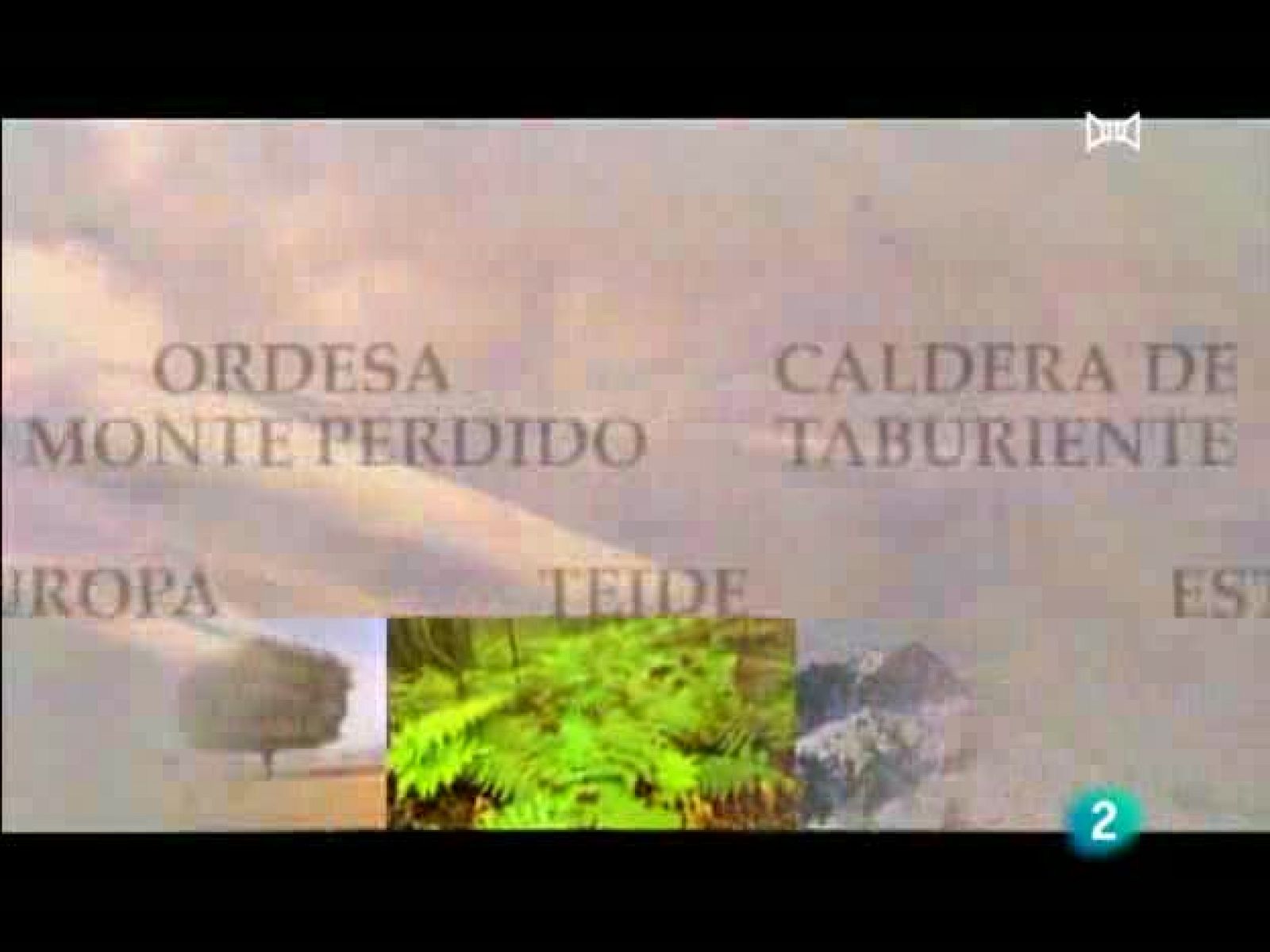 Espacios Naturales - Nuestros parques nacionales - Tablas de Daimiel | Ver