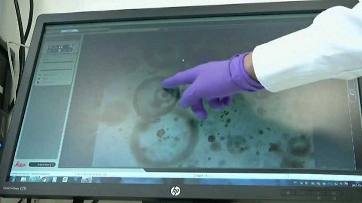 L'informatiu - Comunitat Valenciana - La Comunidad Valenciana en 2' - 08/09/17