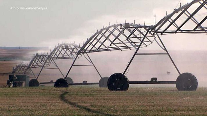 Informe Semanal - En el ojo de la sequía