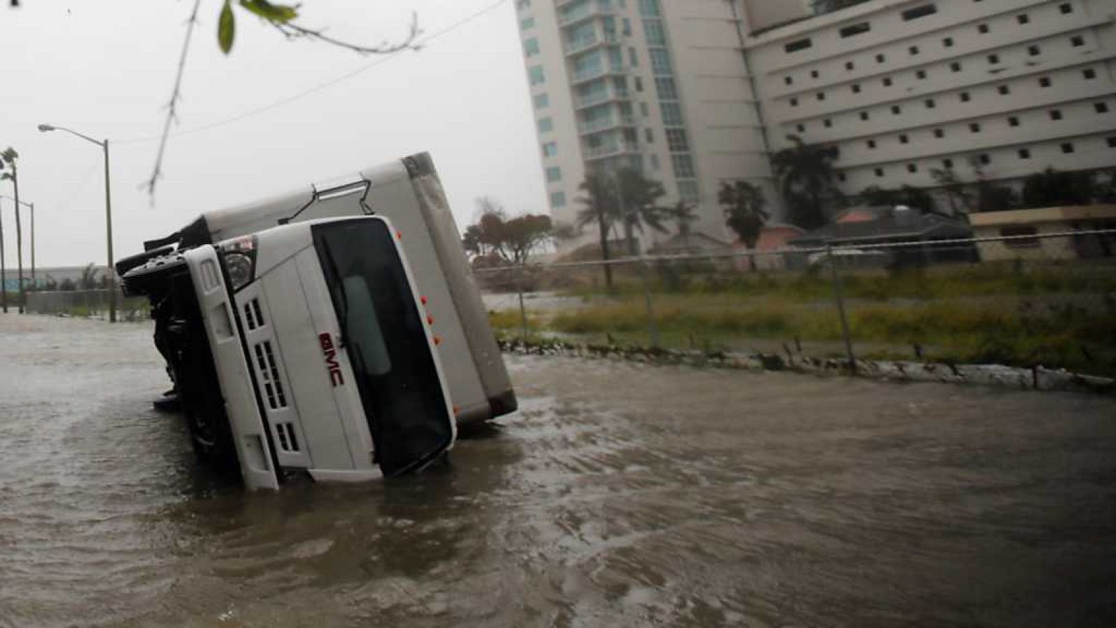Telediario - 8 horas - 11/09/17 - ver ahora
