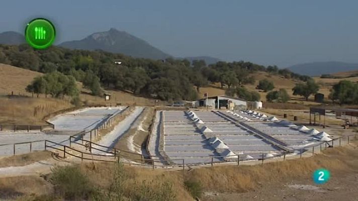 Agrosfera - SALINAS ROMANAS