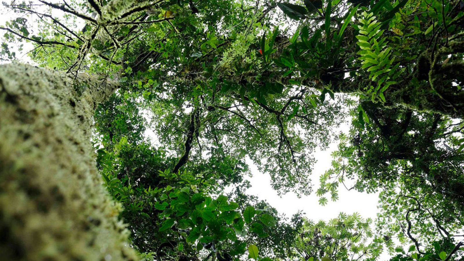 Lluvias en el Cantábrico, Navarra, Galicia, Cataluña y Baleares