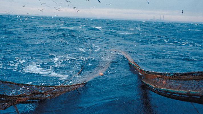 Grandes documentales - El mundo subacuático de Alemania: desde el macizo del Harz