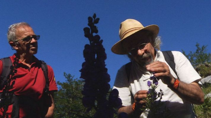 Aquí la Tierra - El poder de las plantas de montaña