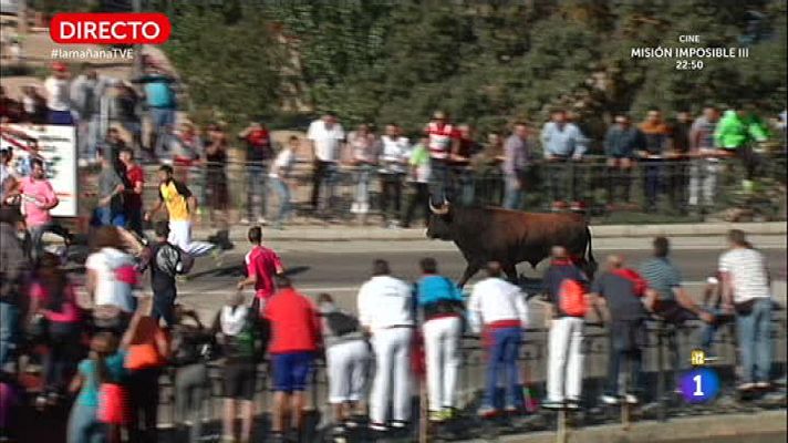 La mañana - Segundo año sin lancear al toro de la Vega