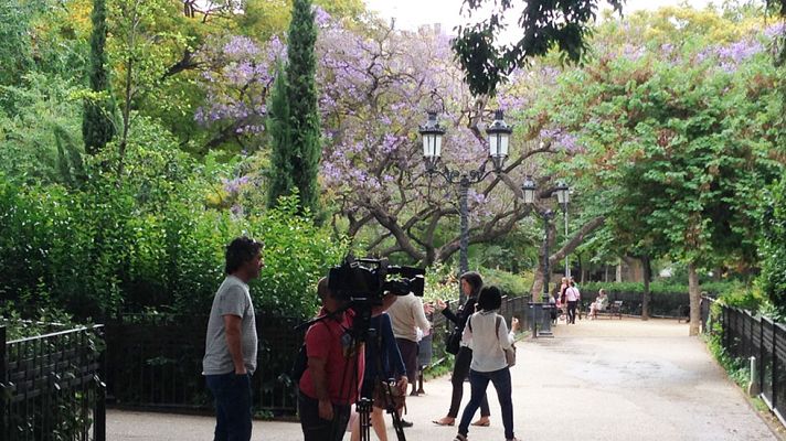 El escarabajo verde - El árbol de mi calle - Avance
