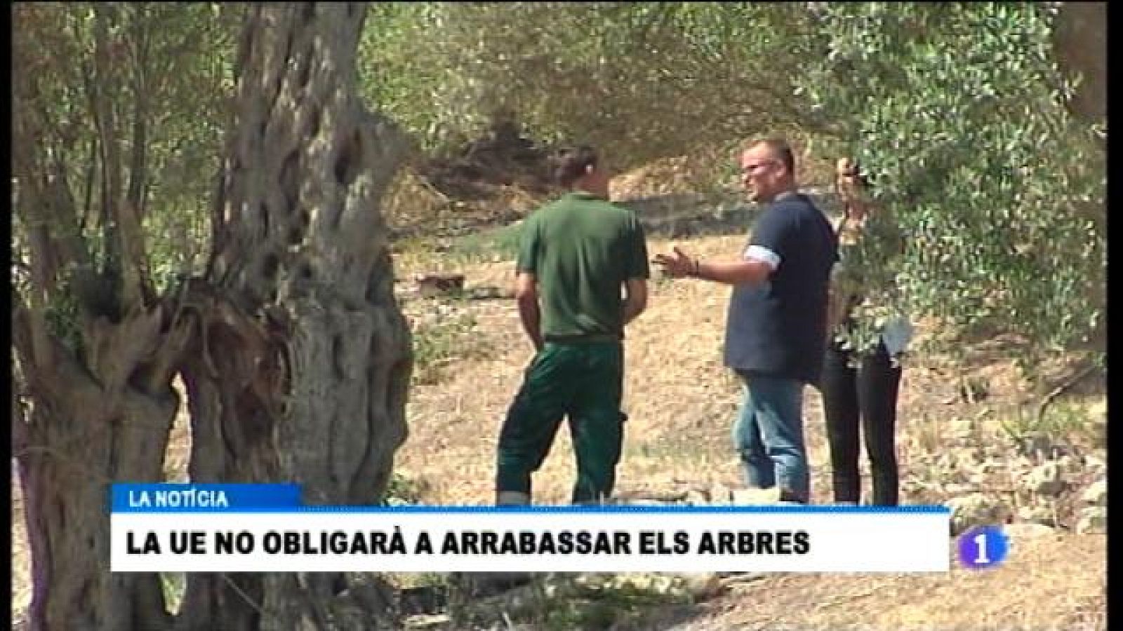 Informatiu Balear en 2' - 12/09/17