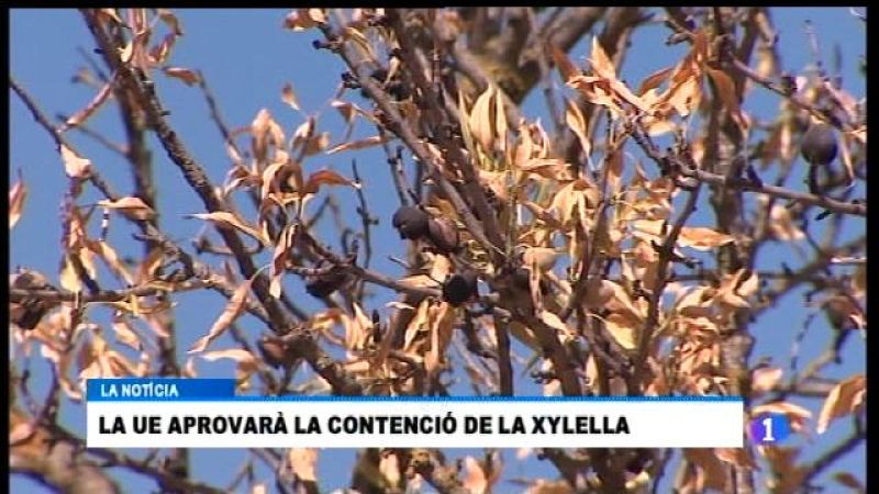 Informatiu Balear 2 - 12/09/17