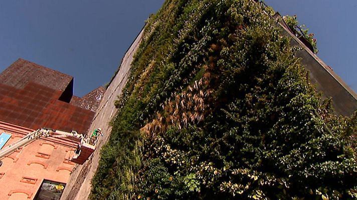 Informativo de Madrid - Informativo de Madrid 2 - 13/09/17