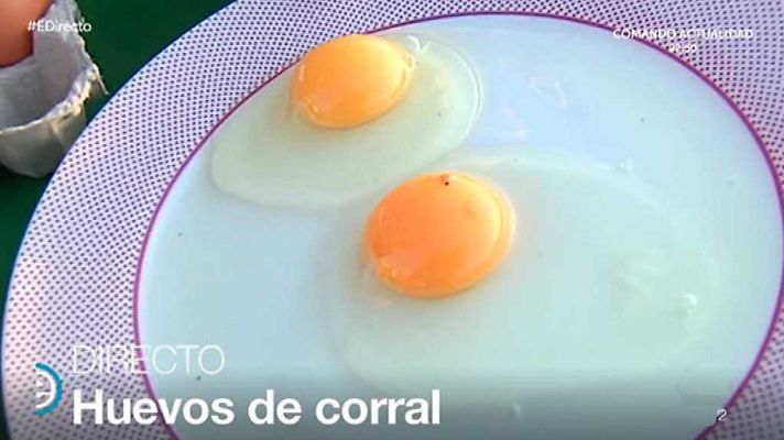 España Directo - España Directo - 13/09/17