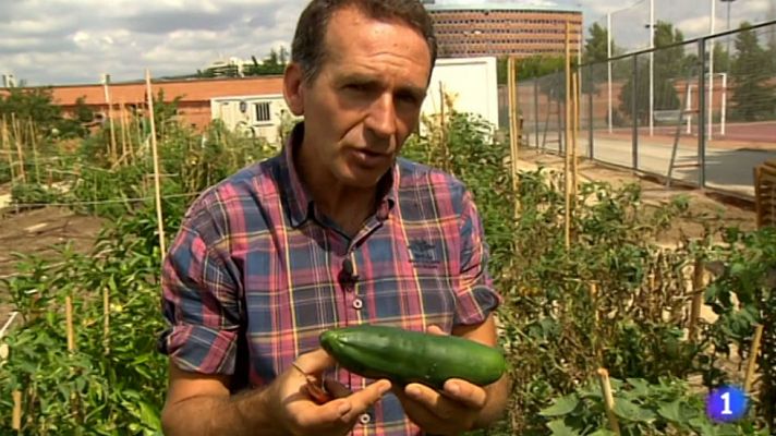 Aquí la Tierra - Que no te amargue un pepino