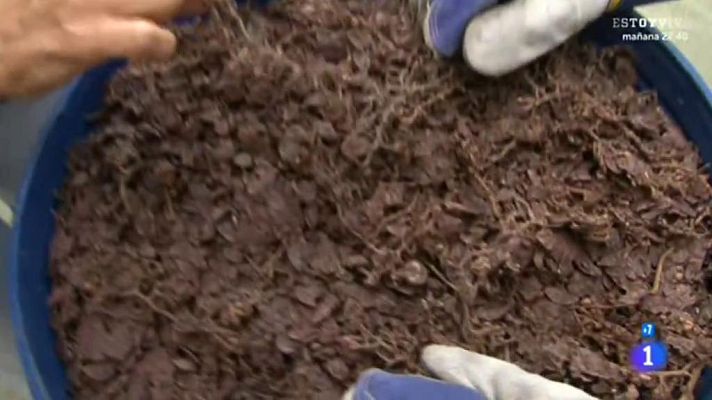 Comando Actualidad - Alargando el verano - Valga