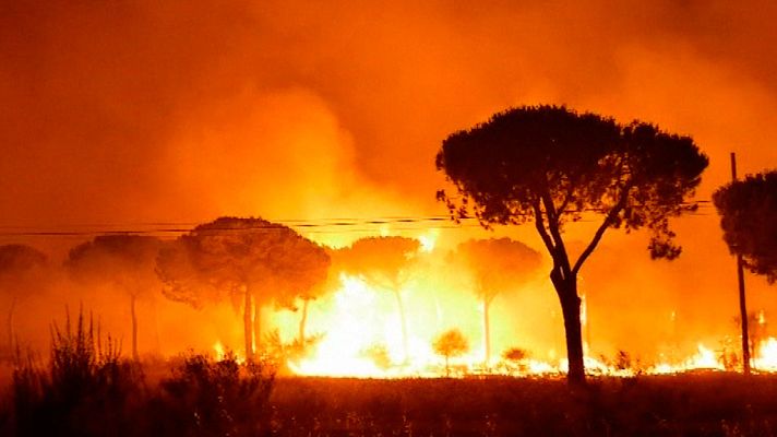 Telediario 1 - Los trabajadores de una carbonería investigados por el incendio de Moguer, en Huelva, declaran ante el juez