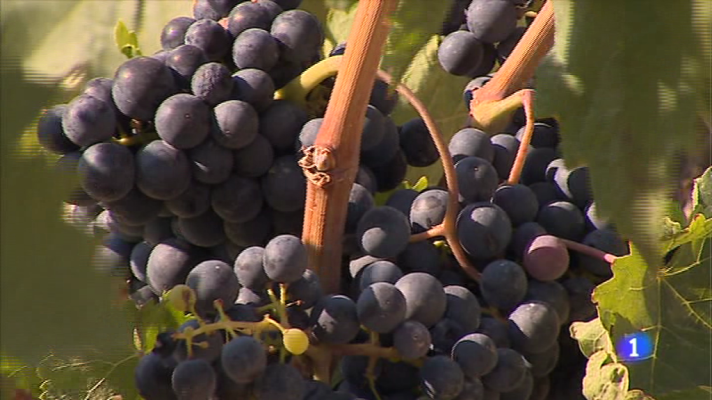 Informativo Telerioja - Informativo Telerioja 2 - 14/09/17