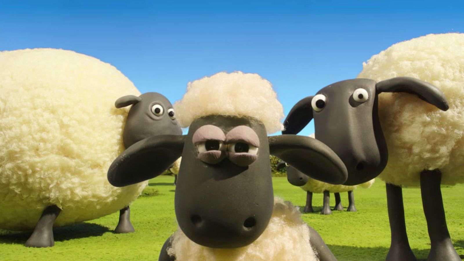 Una mirada...una aventura - La oveja Shaun | Ver