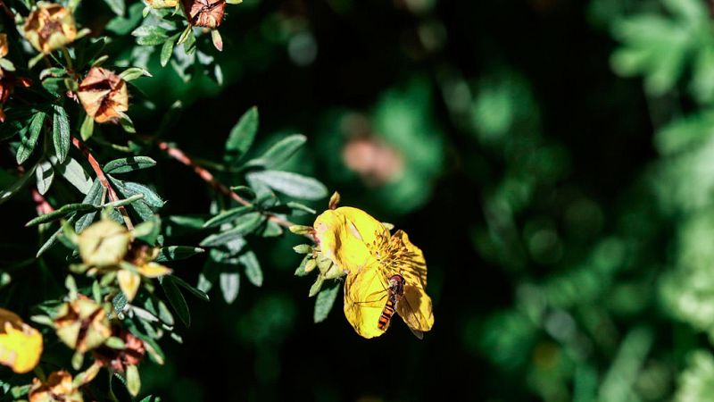 El último fin de semana del verano trae un adelanto del otoño