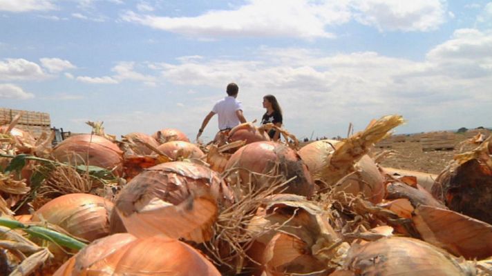Aquí la Tierra - Momento para recolectar cebollas