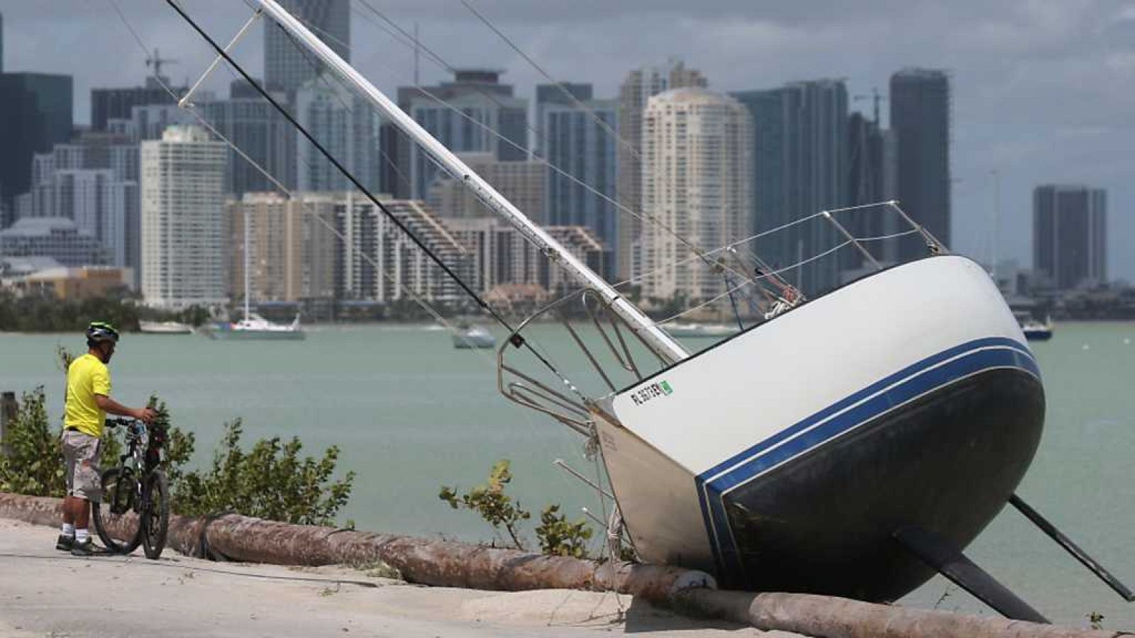 Informe semanal - El rastro de Irma - ver ahora