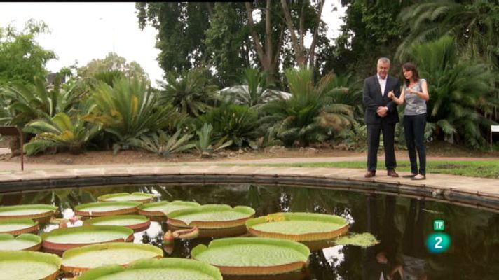 La aventura del Saber - Jardín Botánico La Concepción III