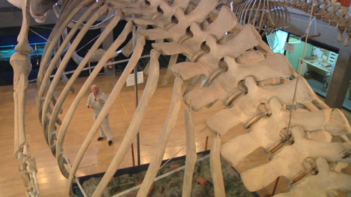 Aquí la Tierra - Santander, tierra marinera