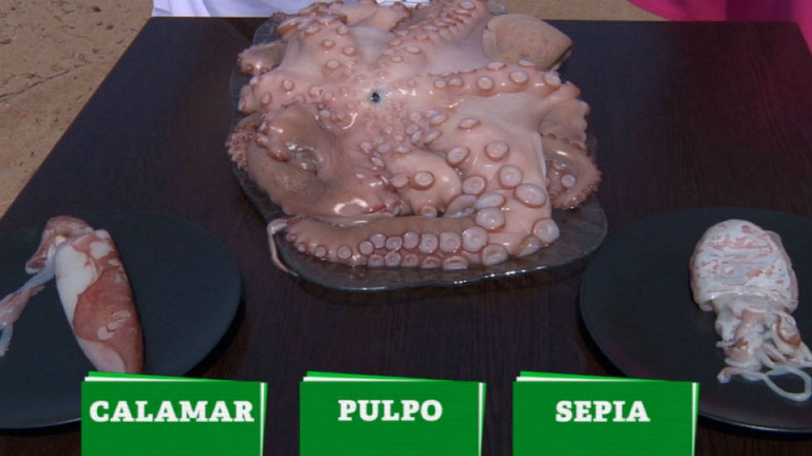Cata de cefalópodos: pulpo, calamar y sepia