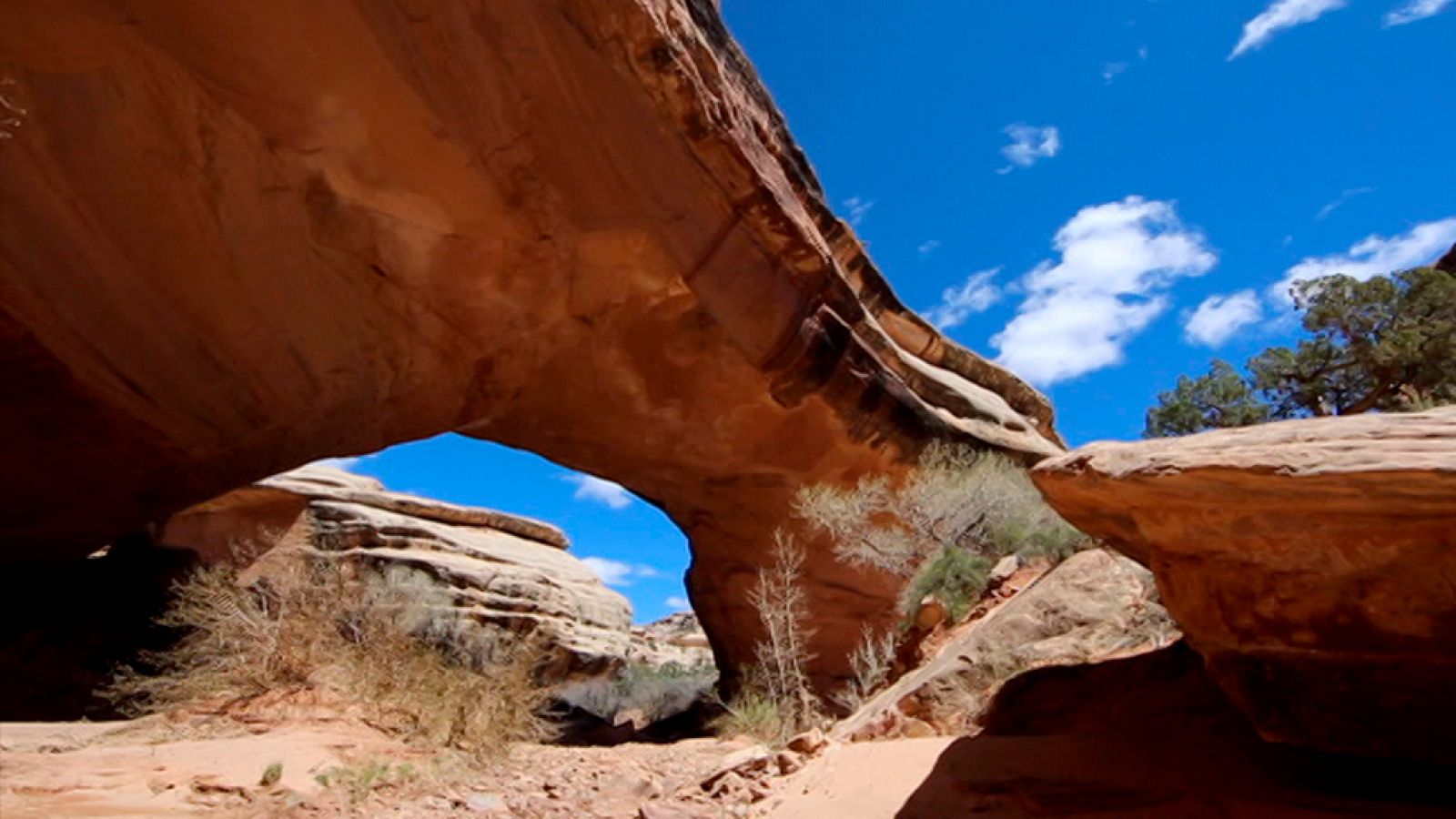 Documenta2 - Memorias de piedra: el arte en tiempos de los dinosaurios - ver ahora