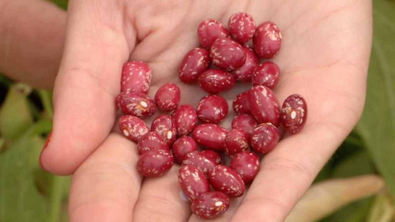 Aquí la Tierra - 18/09/17 - ver ahora