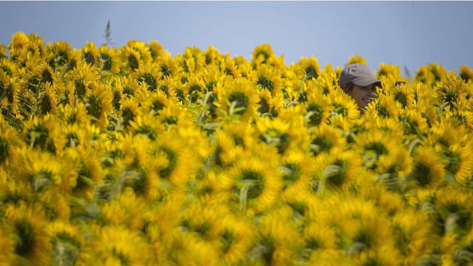 Las temperaturas seguirán subiendo en buena parte de España