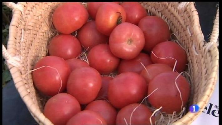 Informatiu Balear - Cerquen a Ariany la tomàtiga del futur