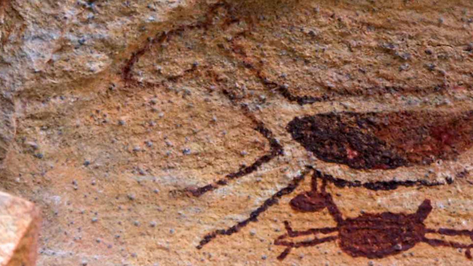 Documenta2 - Memorias de piedra: Brasil, los primeros colonos de América - ver ahora