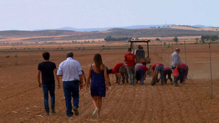 Aquí la Tierra - Plantando ajos ¡a mano!