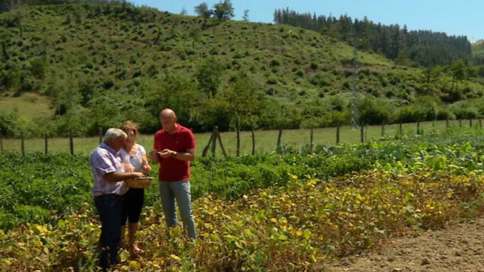 Aquí la Tierra - 19/09/17 - ver ahora