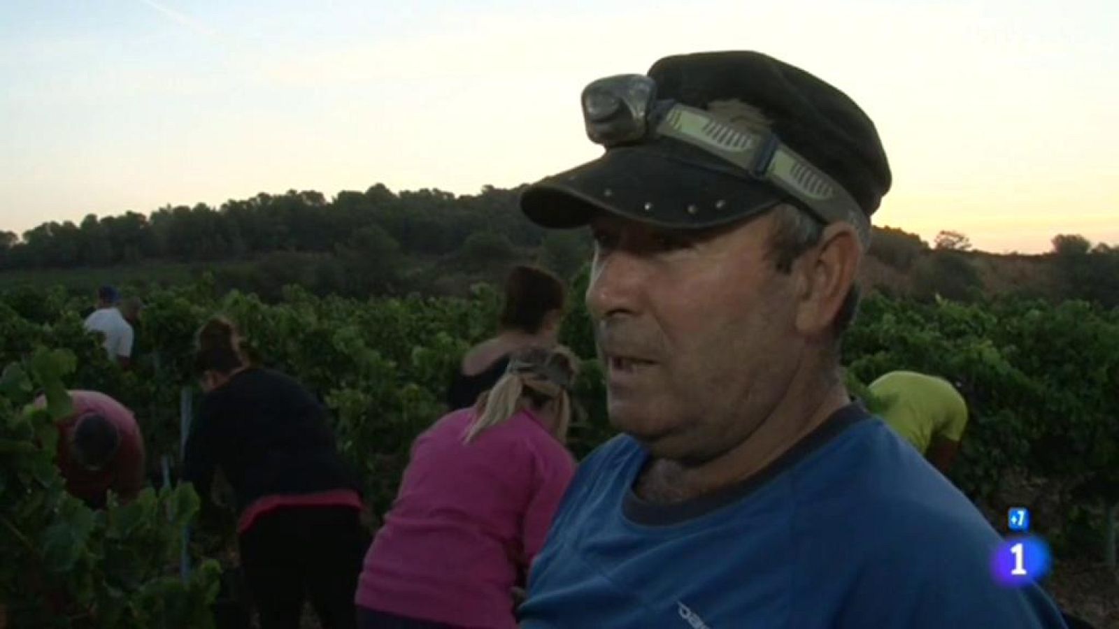 Todo por un jornal - Padul