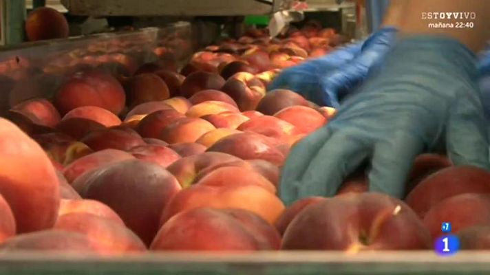 Comando Actualidad - Todo por un jornal - Temporada fruta de hueso