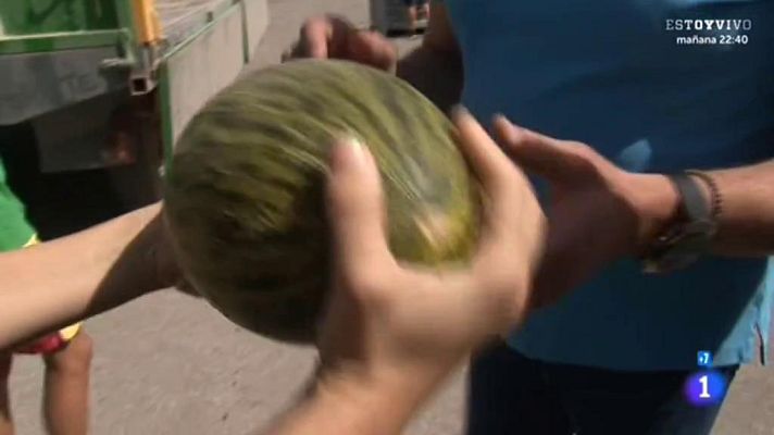 Comando Actualidad - Todo por un jornal - Melón