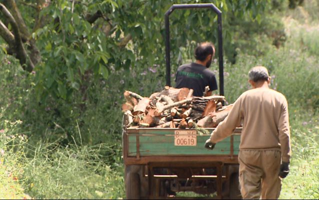 Tinc una idea - Necessitat rima amb oportunitat - Avanç