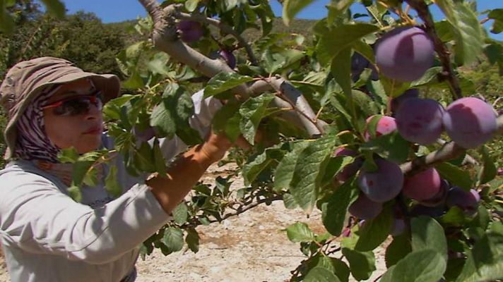 Aquí la Tierra - Aquí la Tierra - 21/09/17