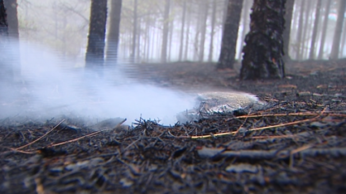 Telecanarias - Telecanarias 2 - 21/09/2017