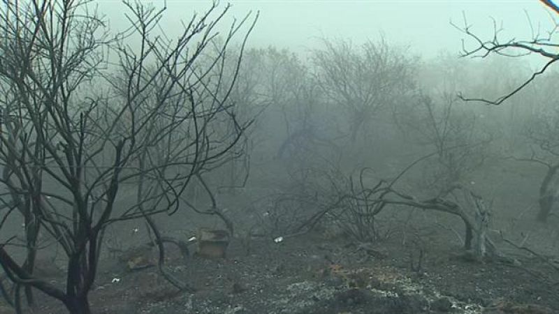 Telecanarias - 22/09/2017