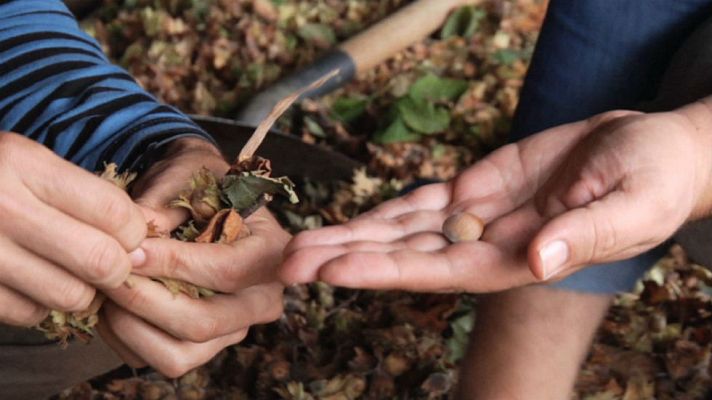 Aquí la Tierra - Leche, cacao, avellana y panela...  Asturcilla