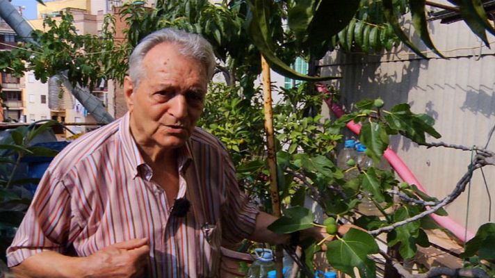 Aquí la Tierra - Un huerto en la terraza