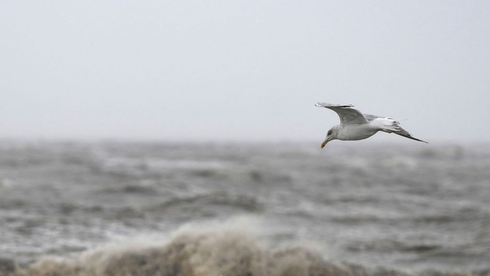 Las temperaturas bajan mañana en las Rías Bajas y en el noreste de Cataluña