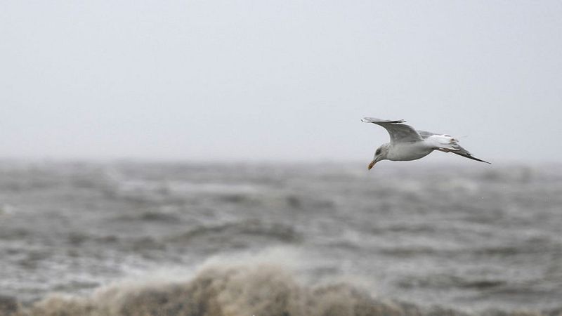 Las temperaturas bajan mañana en las Rías Bajas y en el noreste de Cataluña